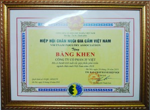 Bằng khen công ty 3F VIỆT